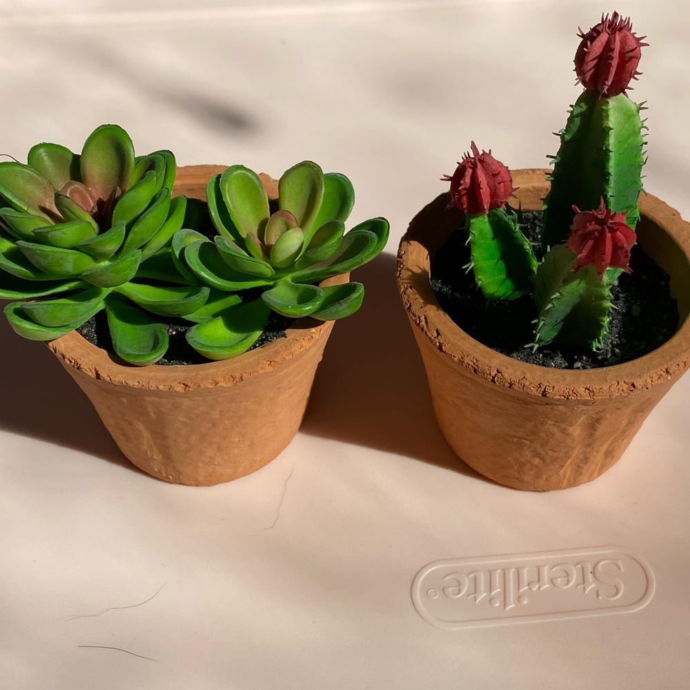 Plastic plant decorations